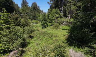 20452 Whaleshead Rd, Brookings, OR 97415