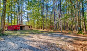 7271 George Washington Ln, Awendaw, SC 29429