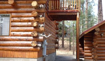 30 County Road 2066, Alpine, AZ 85920