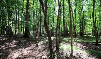 25270 B Dr S, Albion, MI 49224