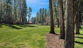 175 A Eagle Bend Dr, Bigfork, MT 59911