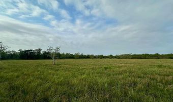 6742 Eagle Rd, Anahuac, TX 77514