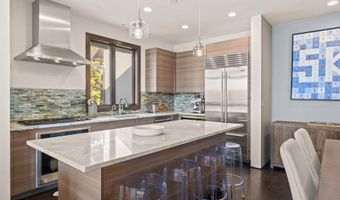 505 Park Cir B, Aspen, CO 81611