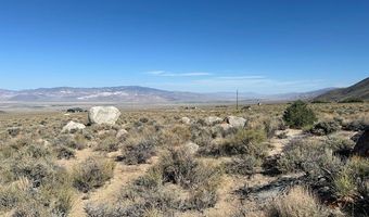 1220 SETTLER'S Way, Dyer, NV 89010