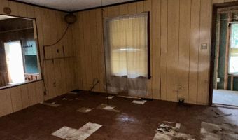 10 Madolyn Dr, Ash Flat, AR 72513