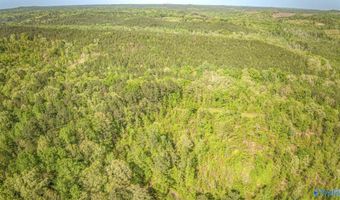 87 Acres Kay Hollis Rd, Beaverton, AL 35544
