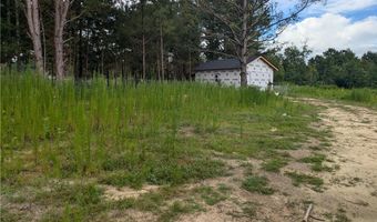 0 Lee Road 393, Auburn, AL 36832