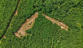 Harry Priddy Road, Americus, GA 31719