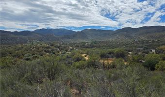 59401 Trails End Ln, Anza, CA 92539
