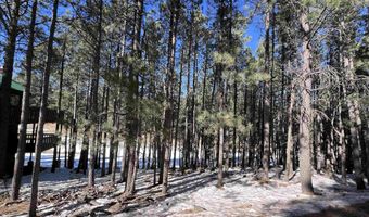 Lot 15 Champions Terrace, Angel Fire, NM 87710