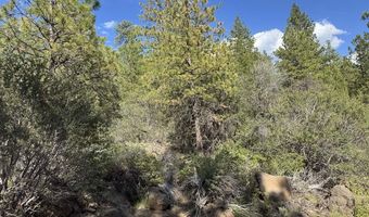 Thunderbear Road 46, Bonanza, OR 97623