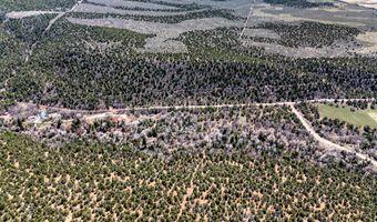 10 18 Acre South Fork North Creek Rd, Beaver, UT 84713