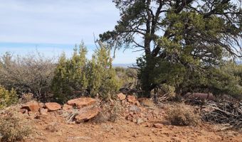 S2 Lot 92 Off Indian Springs, Ash Fork, AZ 86320