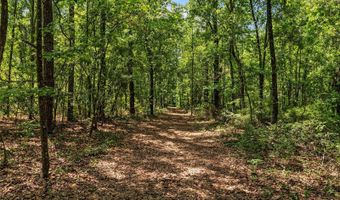 4814 NW 244 Ave, Alachua, FL 32615