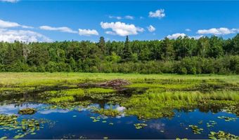 Tbd 240th Street, Akeley, MN 56433