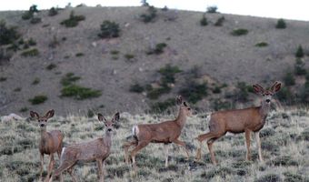 Tbd Stagecoach Spur W 935-3, Belfry, MT 59008