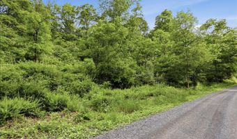 11 95AC LUXEMBURG Rd, Baker, WV 26801