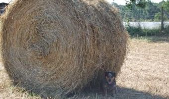 141 Holcomb Spur NW, Adairsville, GA 30103