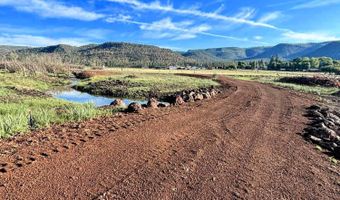 8 N COUNTY ROAD N2062 008, Alpine, AZ 85920