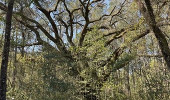 Old Military Road lot # 3, Adams Run, SC 29426