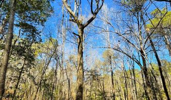 1290 Cedar Cove Rd, Camden, SC 29020