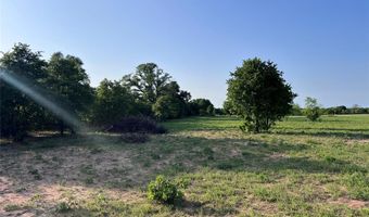 Tbd County Road 335, Anson, TX 79501