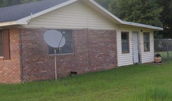 172 Sasser Store Rd, Bainbridge, GA 39817