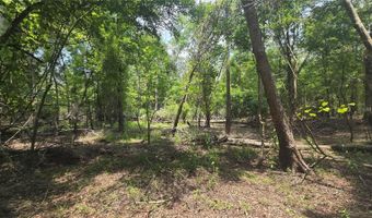 SW 47TH LANE, Bell, FL 32619