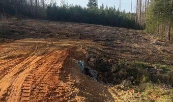 Delancey Road, Braxton, MS 39044
