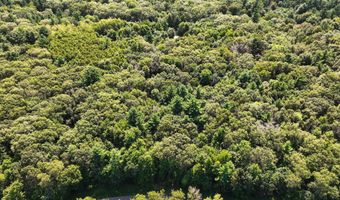 Lot 58 Badger Ct, Arkdale, WI 54613