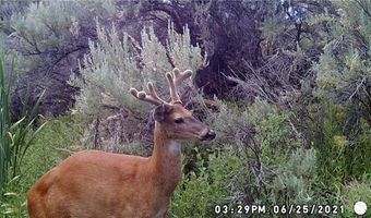Roberts Trail E lot Bvr 930-24, Belfry, MT 59008