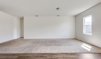 821 Cherry Blossom St, Anna, TX 75409