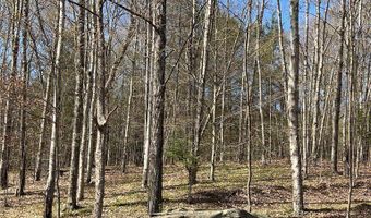 State Highway 30, Andes, NY 13731