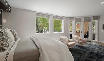 120 S Spring St 1, Aspen, CO 81611