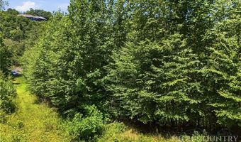 Laurel Ridge Lane lot 1, Banner Elk, NC 28604