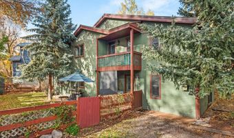 106 Swinging Bridge Ln, Basalt, CO 81621