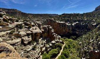 TBD X4 Road, Bedrock, CO 81411