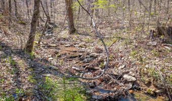 163 Acres Duck Springs Rd, Attalla, AL 35954