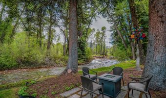 1110 Black Birch Dr, Aspen, CO 81611