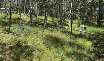 Lot 44 Calle de los Indios, Angel Fire, NM 87710