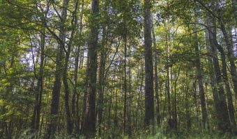 Bill Hubbard Rd, Braxton, MS 39044