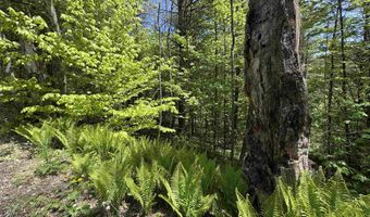 Bear Hill Road, Brookfield, VT 05036