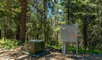 Kreiger Creek Rd, Careywood, ID 83809