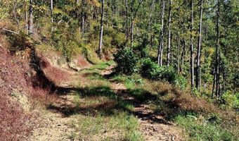 0 Mount Horeb Rd, Amherst, VA 24521