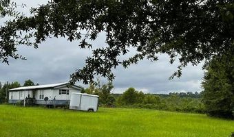 10664 Burton's Ferry Rd, Allendale, SC 29810