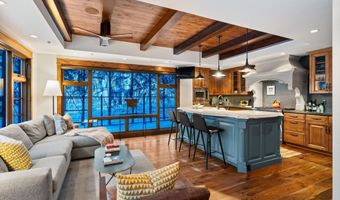 1345 Mayflower Ct, Aspen, CO 81611