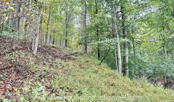 Jesse Run Rd, Arnoldsburg, WV 25234