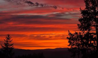 22475 SE ROYAL ANNE Dr, Amity, OR 97101