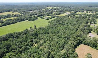 0 Red Hill Rd, Bay Minette, AL 36507