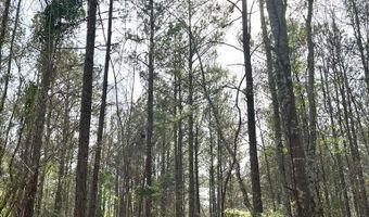 5000 County Road 53, Banks, AL 36005